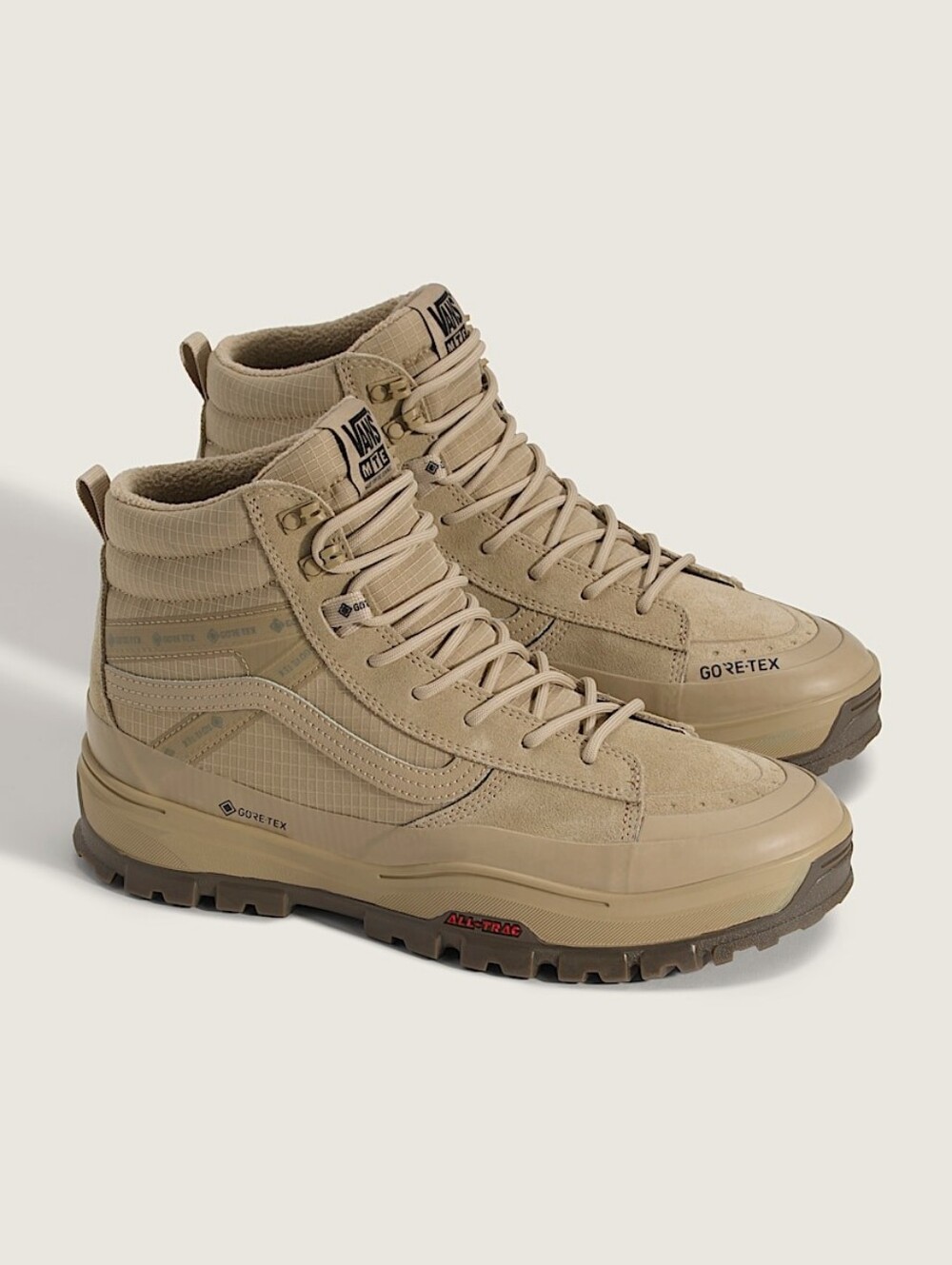 Sk8-Hi GORE-TEX Insulated Shoe